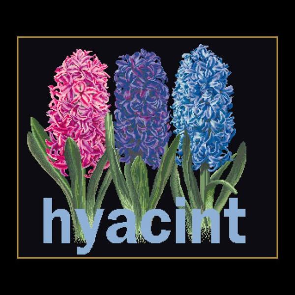 テア　グーベルヌール　刺繍キット（アイーダ） 【Hyacinth 】中級者ー上級者向き ☆お取り寄せ...