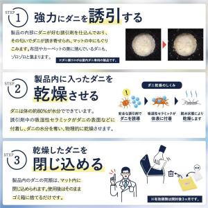 日革研究所直営 ダニ捕りロボ レギュラーサイズ...の詳細画像3