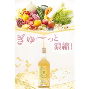 酵素ドリンク ファスティング ダイエット 国産...の詳細画像3