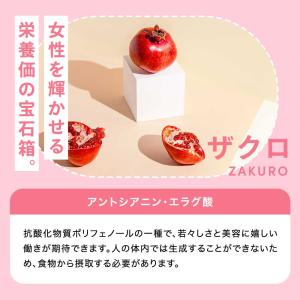 酵素ドリンク ファスティング ダイエット 国産...の詳細画像5