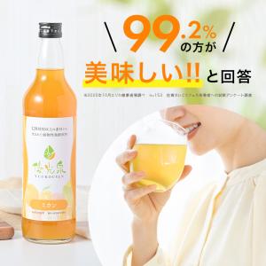 酵素ドリンク ファスティング ダイエット 国産...の詳細画像2