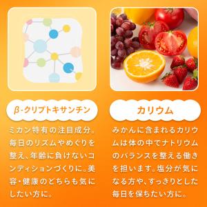 酵素ドリンク ファスティング ダイエット 国産...の詳細画像5