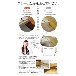二段ベッド 宮棚照明付き バレンシア 2段ベッ...の詳細画像5
