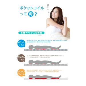シングル S 薄型ポケットコイルマットレス コ...の詳細画像3