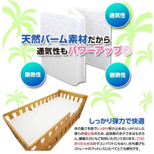 シングル S 天然ココナッツパームマット ベッ...の詳細画像2