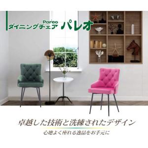 ダイニングチェア パレオ 6色対応 ダイニング...の詳細画像1
