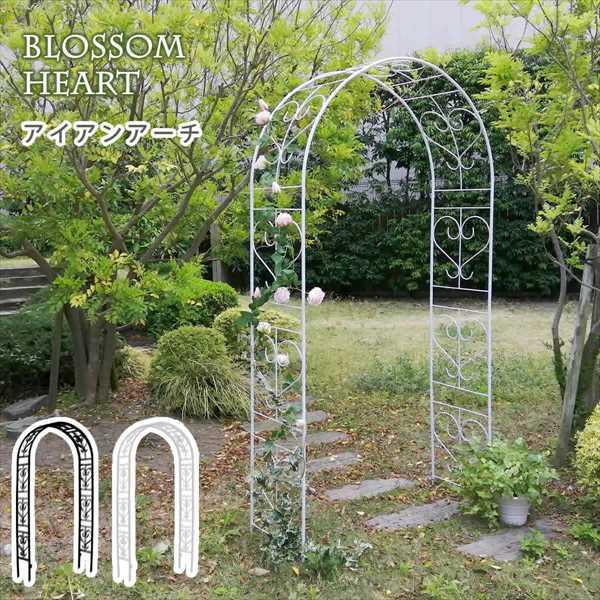 アイアンアーチ Blossom Heart ブロッサムハート