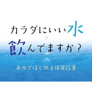 浄水ポット用 カートリッジ リセラ カートリッ...の詳細画像1