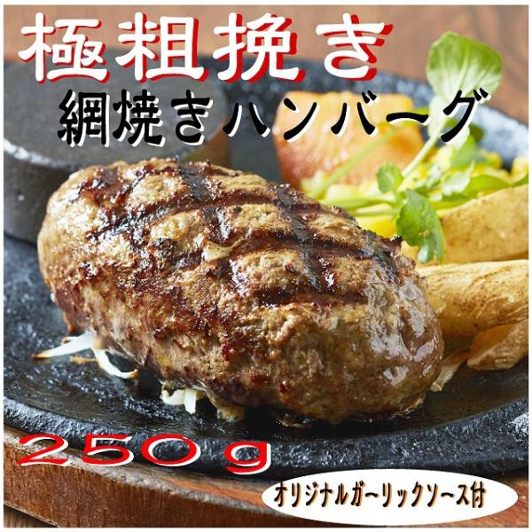 ハンバーグ専門店の網焼きハンバーグ 250g／１個