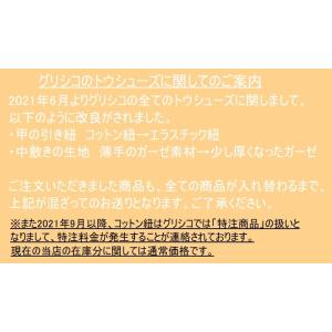 グリシコ 2007 プロフレックス トウシューズの詳細画像2