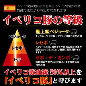送料無料 イベリコ豚焼肉 しゃぶしゃぶ用 1K...の詳細画像1