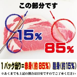 訳あり送料無料 カナダ産豚ロース細切れ・切れ端...の詳細画像1