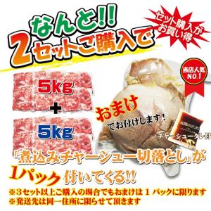 訳あり送料無料 カナダ産豚ロース細切れ・切れ端...の詳細画像3