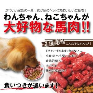 馬肉モモ肉粗挽ミンチ肉500g 冷凍真空 ペッ...の詳細画像1