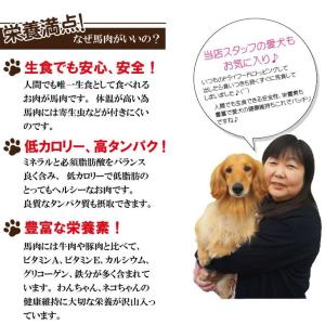 馬肉モモ肉粗挽ミンチ肉500g 冷凍真空 ペッ...の詳細画像2