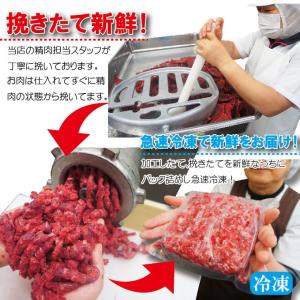 馬肉モモ肉粗挽ミンチ肉500g 冷凍真空 ペッ...の詳細画像4