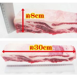 牛バラブロック1kg入 冷凍 アメリカ産または...の詳細画像2