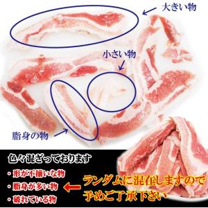 豚バラ肉細切れ・切れ端・訳あり500gX2袋入...の詳細画像1