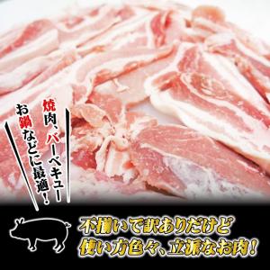 豚バラ肉細切れ・切れ端・訳あり500gX2袋入...の詳細画像2