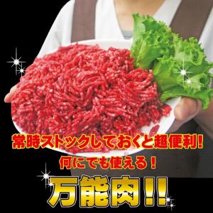 牛肉ひき肉国産100% 500g入 冷凍 パラ...の詳細画像3