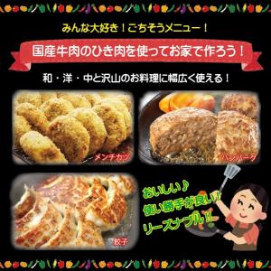 牛肉ひき肉国産100% 500g入 冷凍 パラ...の詳細画像4