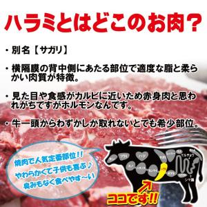 オーストラリア産 牛ハラミ はらみ 500g ...の詳細画像1