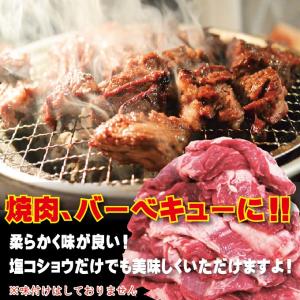 オーストラリア産 牛ハラミ はらみ 500g ...の詳細画像3
