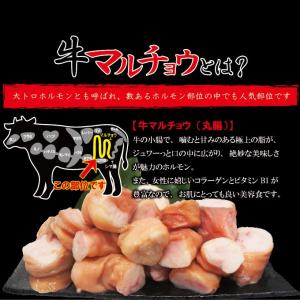 送料無料 マルチョウ丸腸メガ盛り1kg 338...の詳細画像1