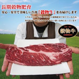 牛肉肩ロースステーキ 1枚 200g 冷凍 ニ...の詳細画像1