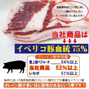 お中元 夏ギフト 贈答品 プレゼント送料無料 ...の詳細画像2