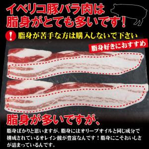 お中元 夏ギフト 贈答品 プレゼント送料無料 ...の詳細画像4