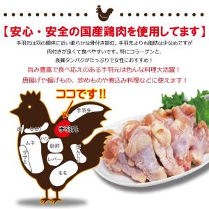 480g国産鶏手羽元冷凍品 訳ありではないけど...の詳細画像1