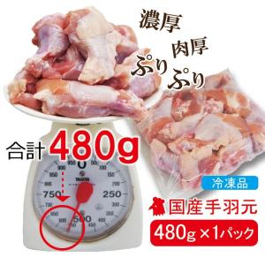480g国産鶏手羽元冷凍品 訳ありではないけど...の詳細画像2