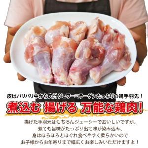 480g国産鶏手羽元冷凍品 訳ありではないけど...の詳細画像3