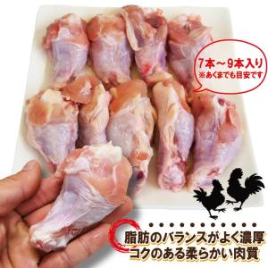 480g国産鶏手羽元冷凍品 訳ありではないけど...の詳細画像4