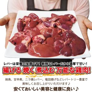 480g国産鶏レバー冷凍品 訳ありではないけど...の詳細画像3