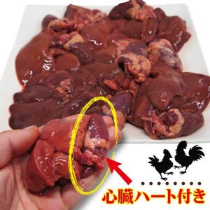 480g国産鶏レバー冷凍品 訳ありではないけど...の詳細画像4