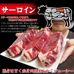 送料無料 2セット以上ご購入でおまけ付 厚切り...の詳細画像1