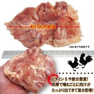480g国産鶏もも肉モモ肉冷凍品 モモ肉 鶏肉...の詳細画像4
