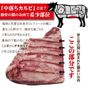 中落ちカルビリブフィンガー1kg冷凍 穀物肥育...の詳細画像2