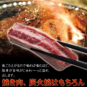 中落ちカルビリブフィンガー1kg冷凍 穀物肥育...の詳細画像5