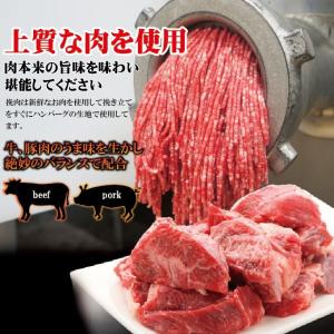 ハンバーグ和風オニオンソース入150g×1個冷...の詳細画像1