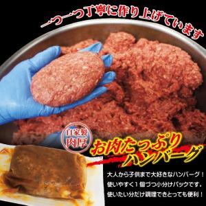 ハンバーグ和風オニオンソース入150g×1個冷...の詳細画像2