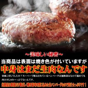 ハンバーグ和風オニオンソース入150g×1個冷...の詳細画像3