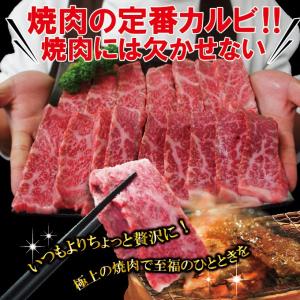松阪牛A5ランク霜降りカルビ 500g冷蔵品 ...の詳細画像5