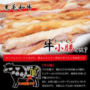 黒毛和牛国産とろプリ小腸 500g冷凍 素材そ...の詳細画像1
