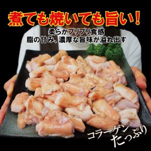 黒毛和牛国産とろプリ小腸 500g冷凍 素材そ...の詳細画像2