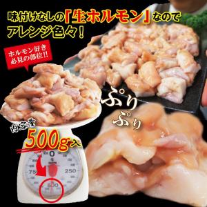黒毛和牛国産とろプリ小腸 500g冷凍 素材そ...の詳細画像3