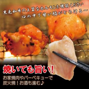 黒毛和牛国産とろプリ小腸 500g冷凍 素材そ...の詳細画像4