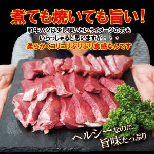 数量限定 黒毛和牛ハツ心臓コリコリカルビ500...の詳細画像2